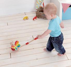 Spingi spingi Farfalla