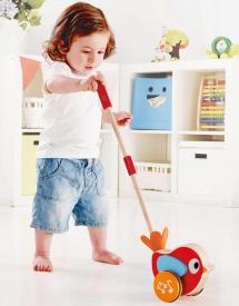 Spingi  spingi Uccellino