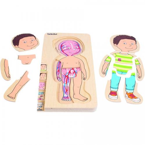 Puzzle In Legno Montessori Del Corpo Umano Per Bambini, Giocattolo Educativo Per Riconoscere Organi E Anatomia