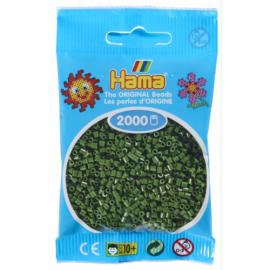 Hama Beads MINI 2000 pezzi - Foresta n.102