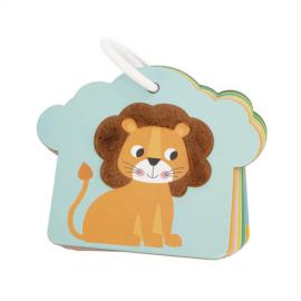 Schede Tattili della Savana