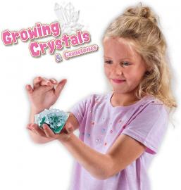 Kit coltivazione dei cristalli