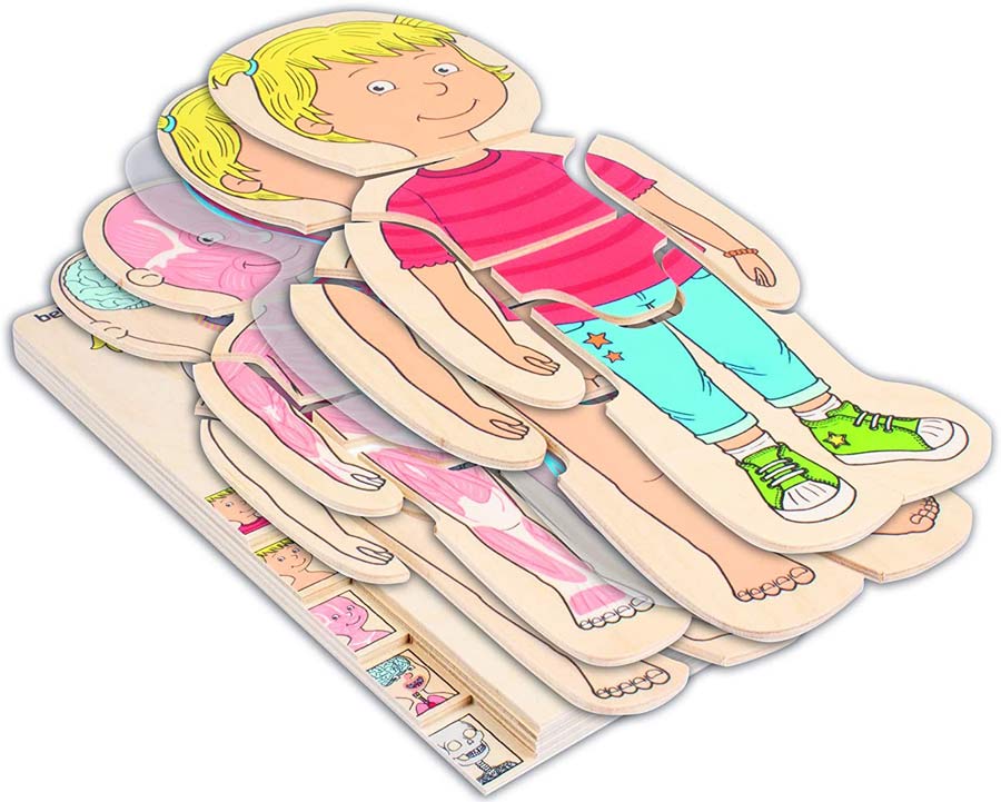 Puzzle del corpo umano in legno per bambini, set di gioco di